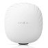Aruba AP-503 WI-FI 6 Indoor Access Points